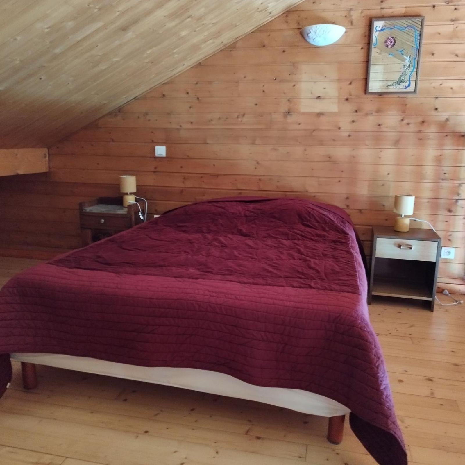 Chalet Les Adrets Du Sancy Saint-Diery المظهر الخارجي الصورة