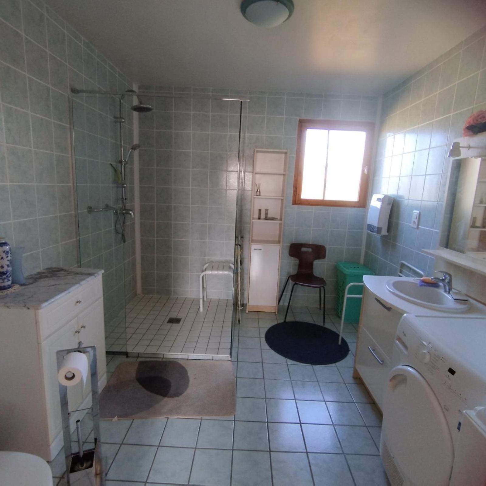 Chalet Les Adrets Du Sancy Saint-Diery المظهر الخارجي الصورة